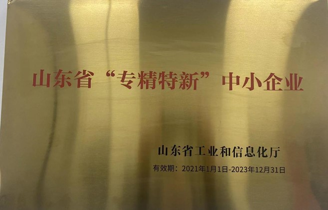 获得山东省“专精特新”中小企业称号